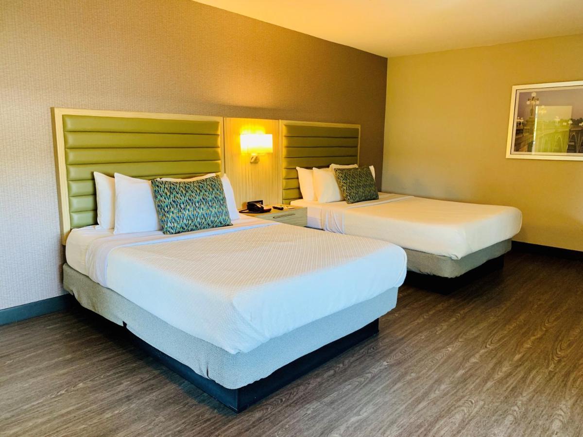 Double Room,689093391:JPEG